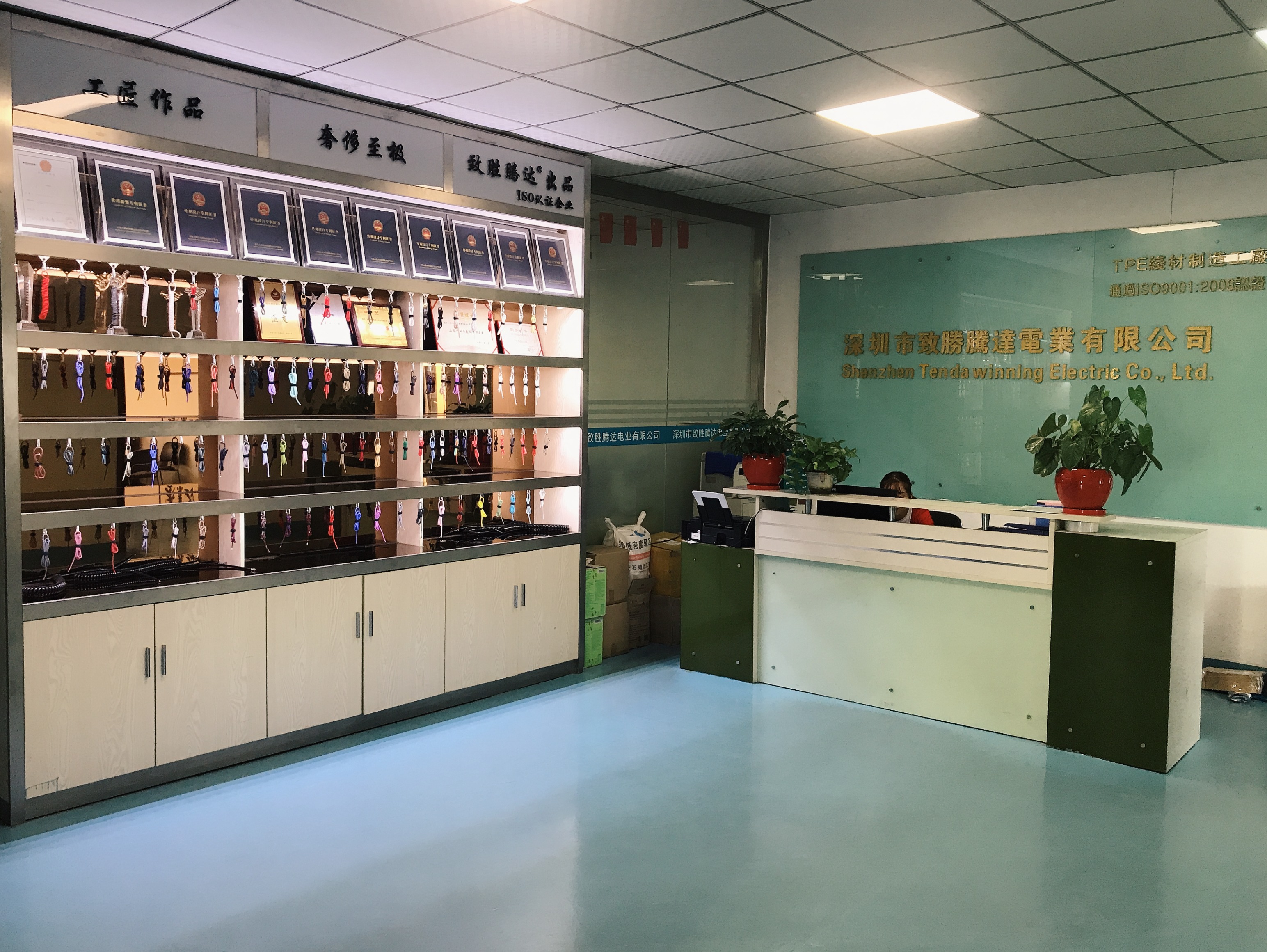 深圳市致胜腾达电业有限公司
